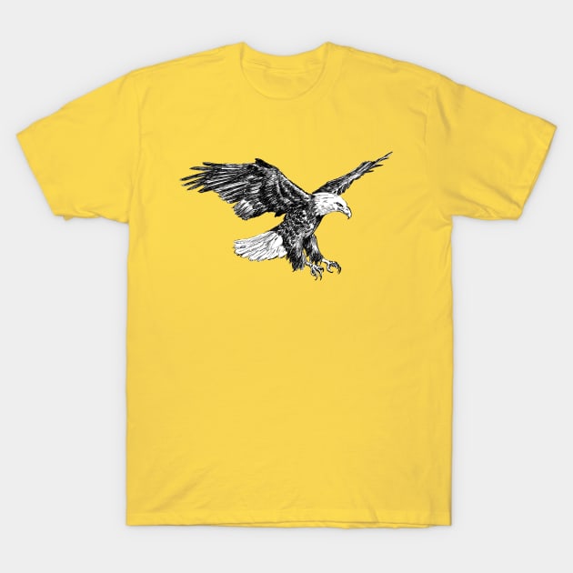 Bald Eagle Sketch T-Shirt by rachelsfinelines